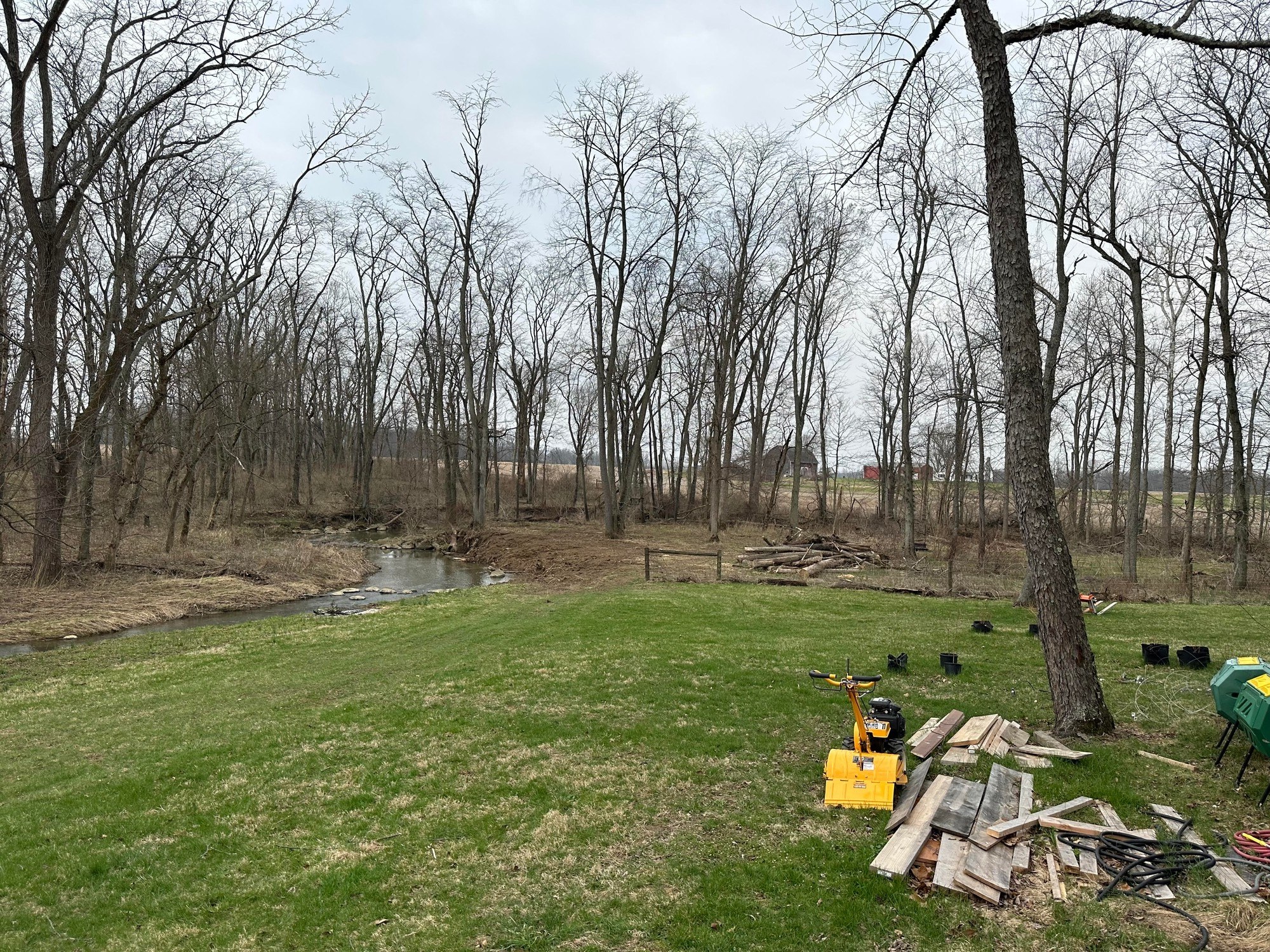 A real photo of the yard today