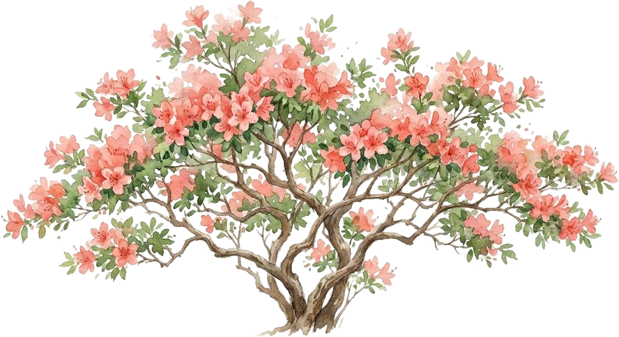 Azalea, watercolor