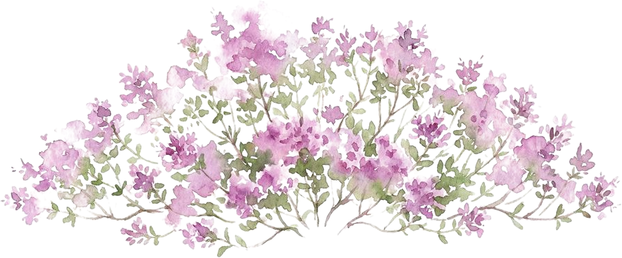 Creeping Thyme, watercolor