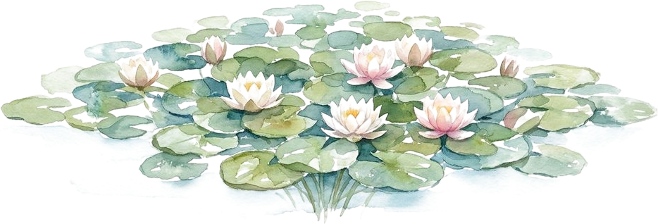 Watercolor of Hardy Water Lily