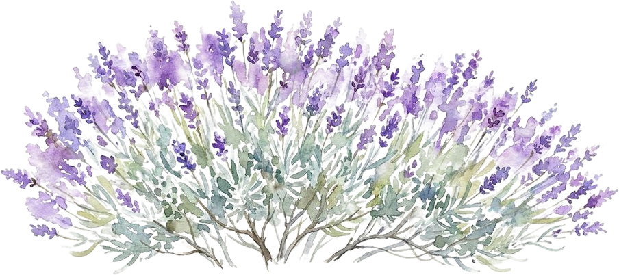 Lavender, watercolor