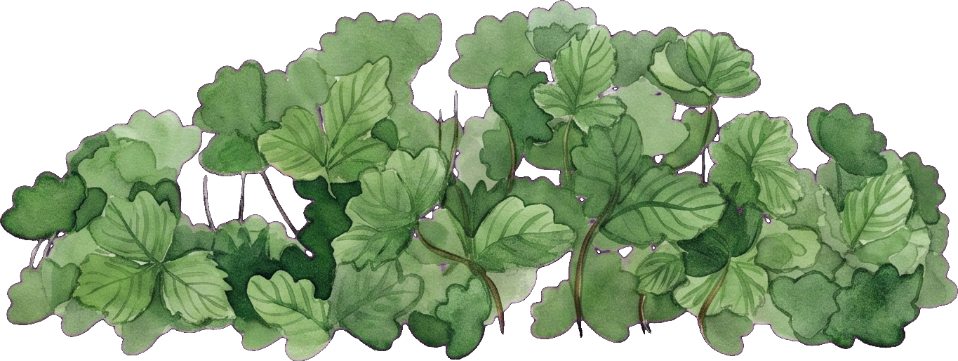 Watercolor of Wild Strawberry